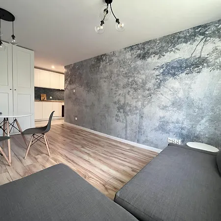 Nowoczesny Appartement Cracovie
